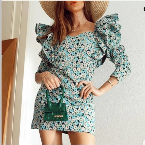 Last Zara poplin daisy dress